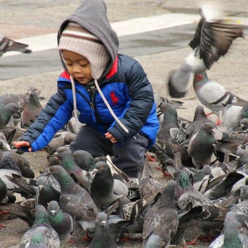 Photo #4081202