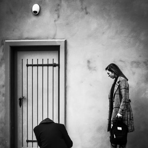 Photo #4081433
