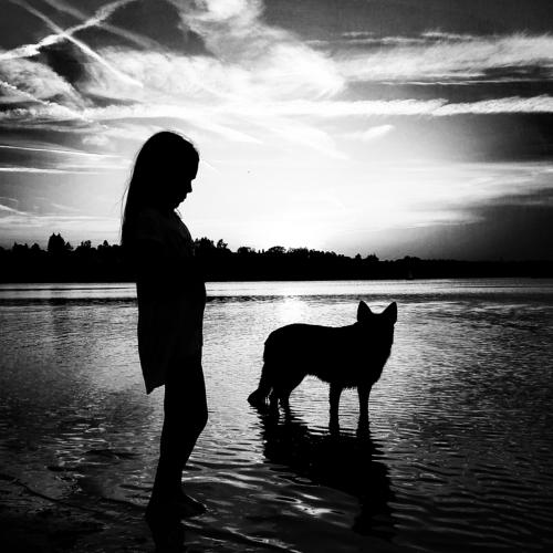 Photo #4081443