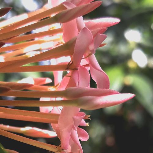 Photo #4081648