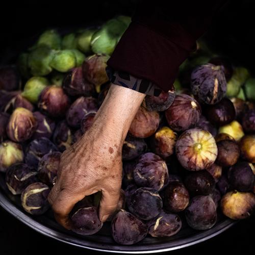 Photo #4081650