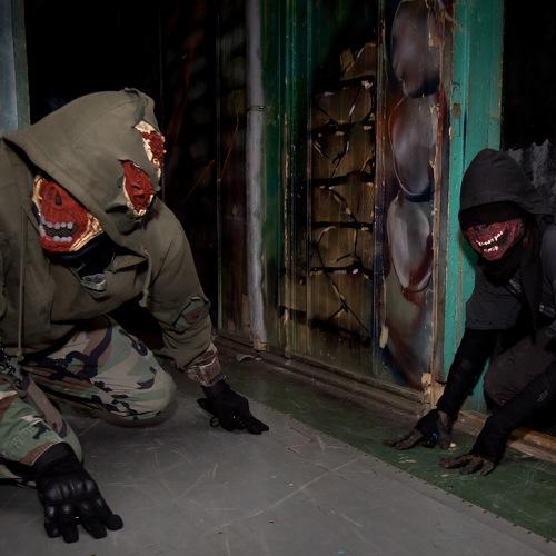 Photo #4081707