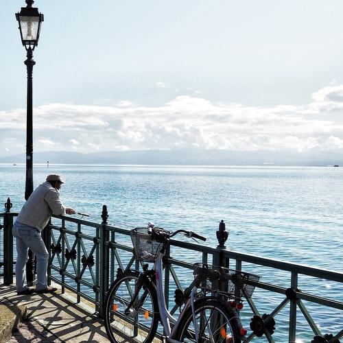 Photo #4081718