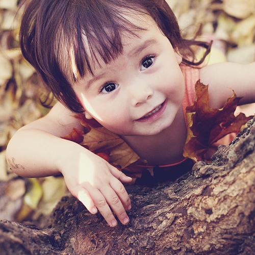 Photo #4081727