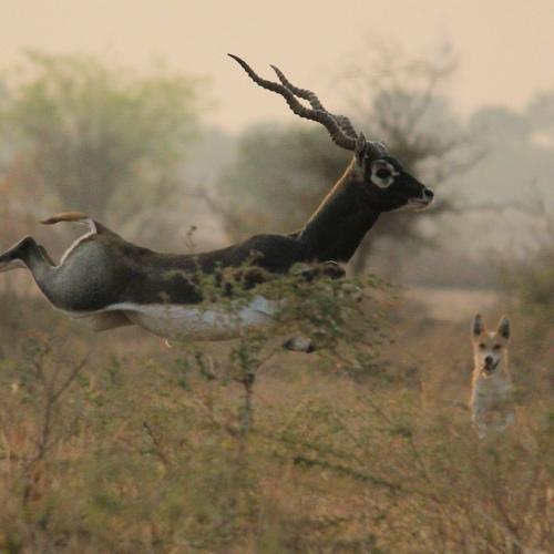 Photo #4081910