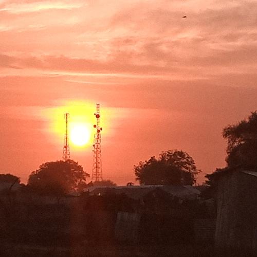 Photo #4081944
