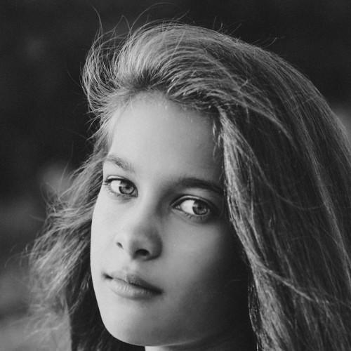 Photo #4081967