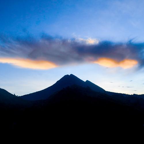 Photo #4082186