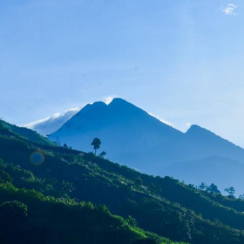Photo #4082193