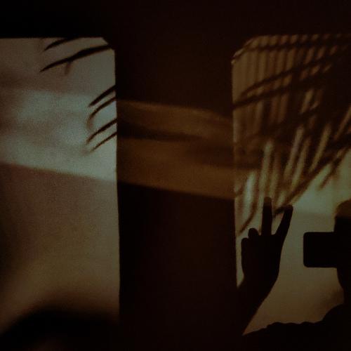 Photo #4082622