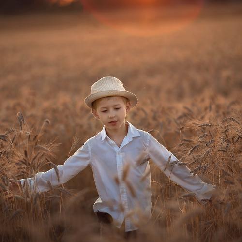Photo #4082716