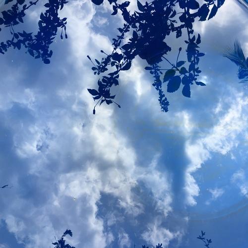 Photo #4082906