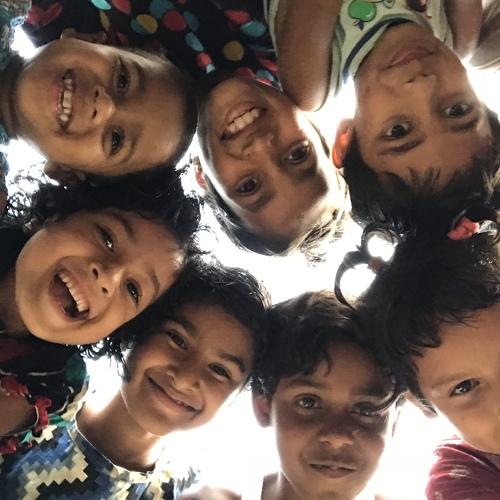 Photo #4083102