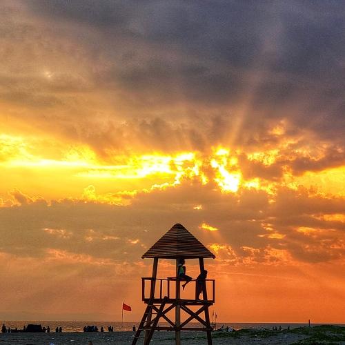 Photo #4083103