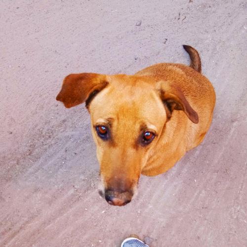 Photo #4083631