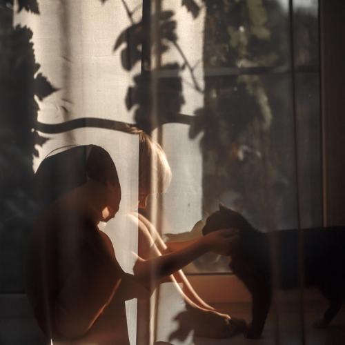 Photo #4083769