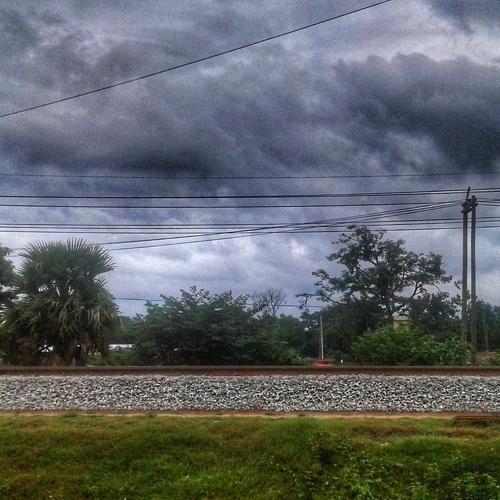 Photo #4084256