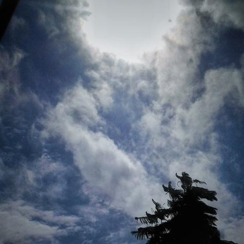 Photo #4084259