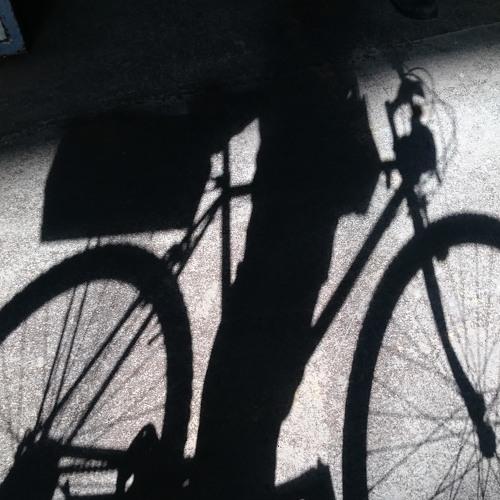 Photo #4084525