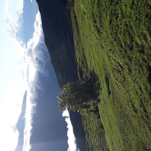 Photo #4084541