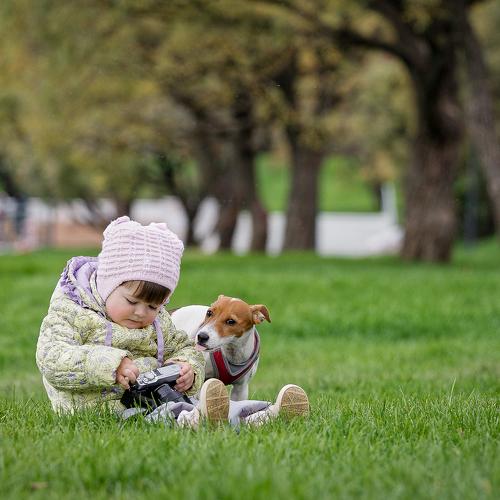 Photo #4084551