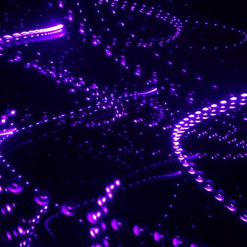 Photo #4084589