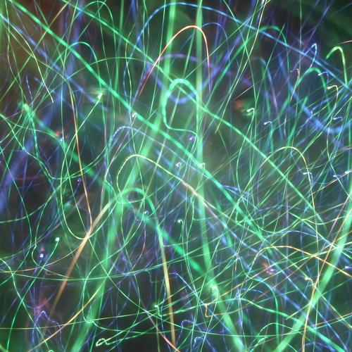 Photo #4084594