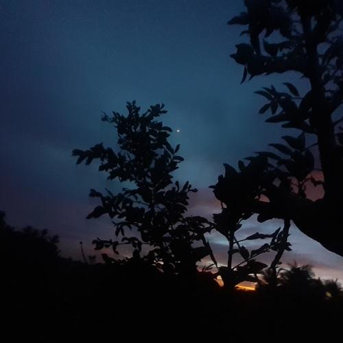 Photo #4085060
