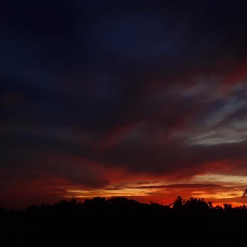 Photo #4085062