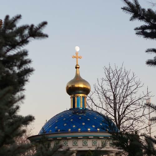 Photo #4085277
