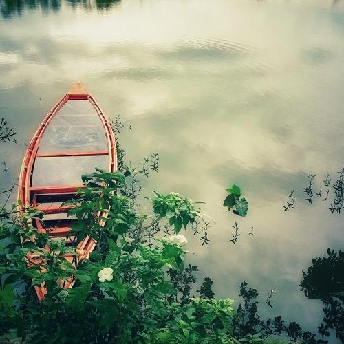 A sinking boat