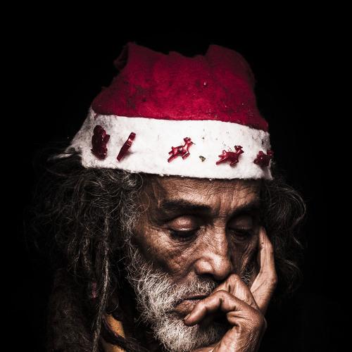 Photo #4085284
