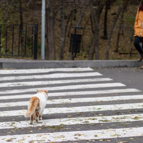 Photo #4085335