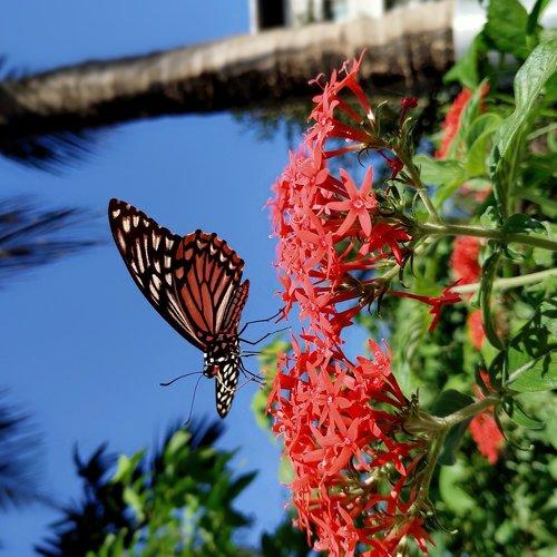Photo #4086071