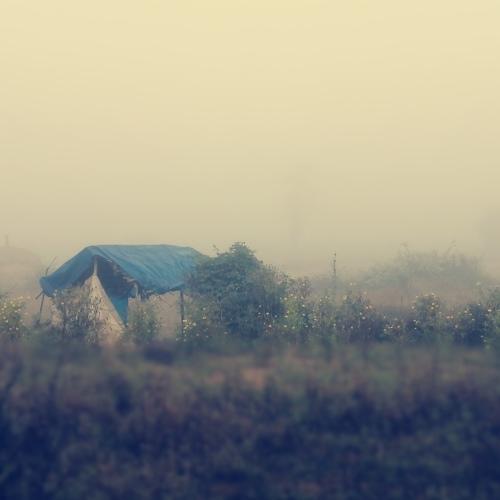 A morning image of rural site