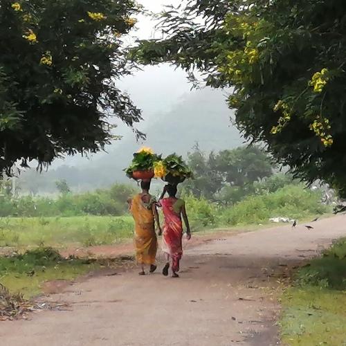 Photo #4086154