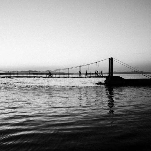 Photo #4086159