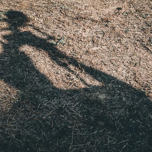 Photo #4086216