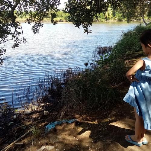 Baby Wafer and the fishpond