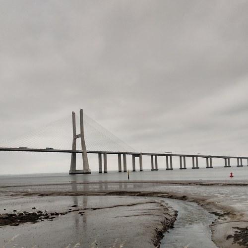 Photo #4086335