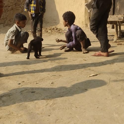 Photo #4086411
