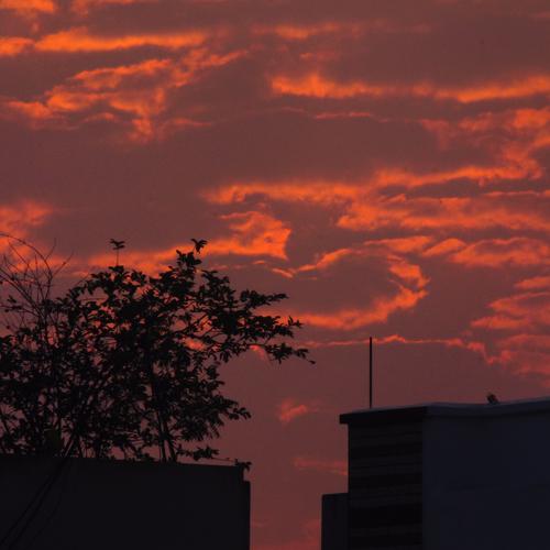 Photo #4086413