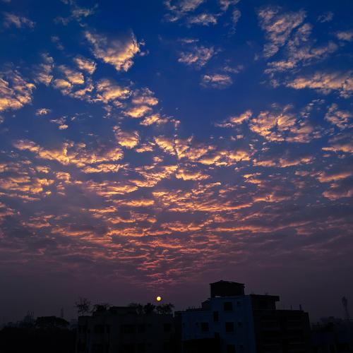 Photo #4086416