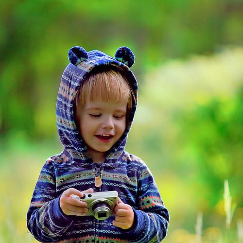 Photo #4086455