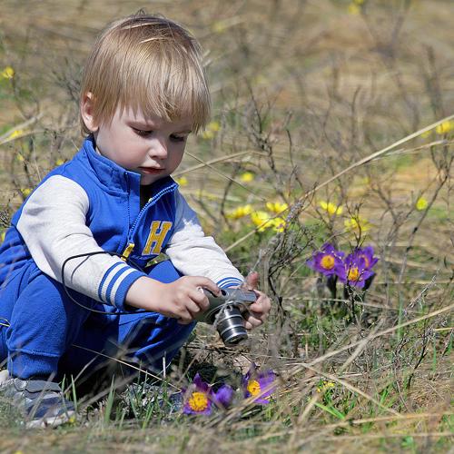 Photo #4086457