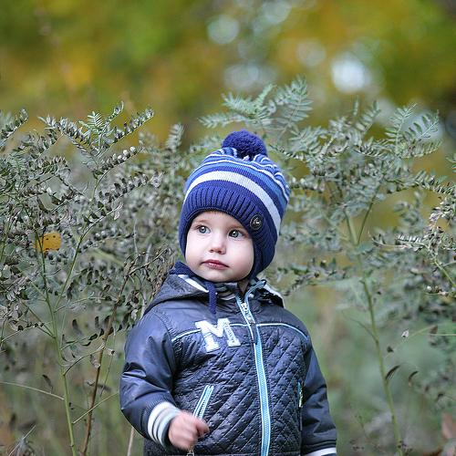 Photo #4086460