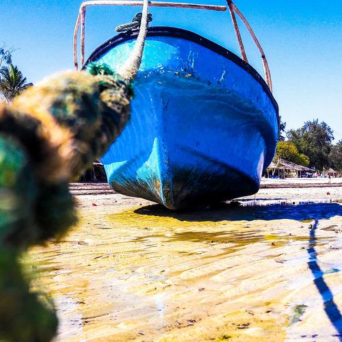 Photo #4086513