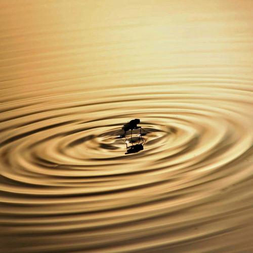 Macro