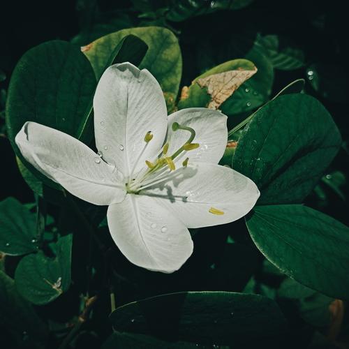 Photo #4086653