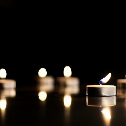Photo #4086691